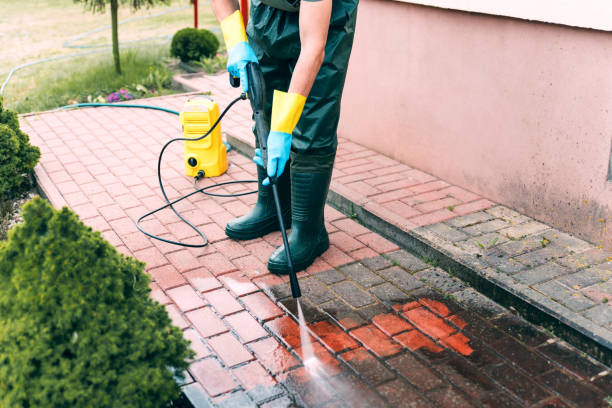 Best Animal Enclosure Cleaning  in Bliss Corner, MA